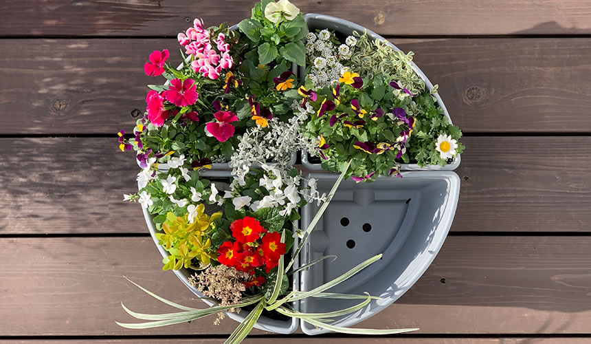 にんじんにほん　804040アカシア引き出しタイプ Hachiman-kasei.co.,ltd.』|Pot Corner Type