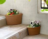 Pot Corner Type