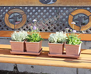 Pot Square Type