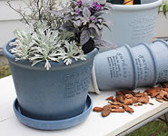 Pot Shallow Type