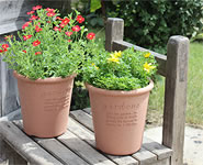 Pot Round Type