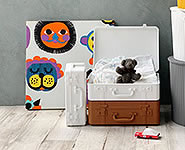 TRUNKSTORY