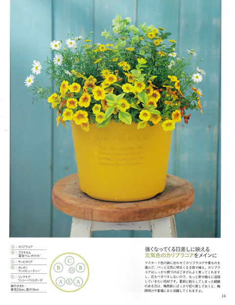Pot Shallow Type