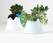 FUJISAN Egg Cup 富士山エッグカップ