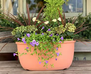 Planter Oval Type エコプランターオーバル
