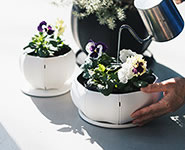 Sen Plates セン プレート 丸