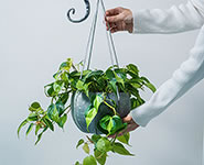 Sen Ropes Senシリーズ専用ロープ（Sフック付）