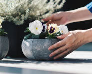 Sen Roly Pots Shallow セン ローリーポット 丸 浅型